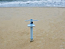 Umbrella Anchor