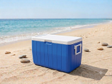 Regular Party Cooler